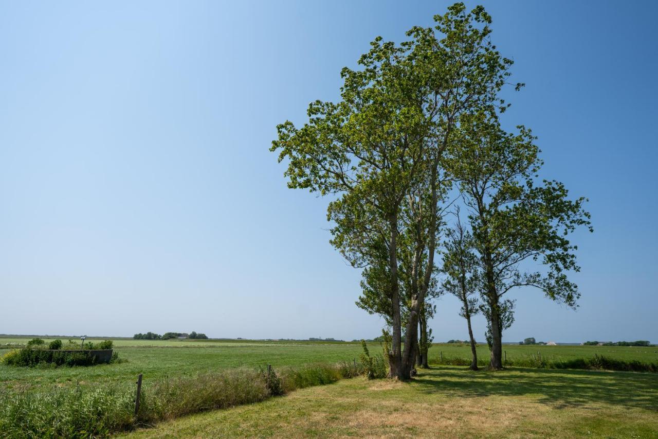 Johanneshoeve - De Mooiste Plek Op Texel Den Hoorn  Exterior photo